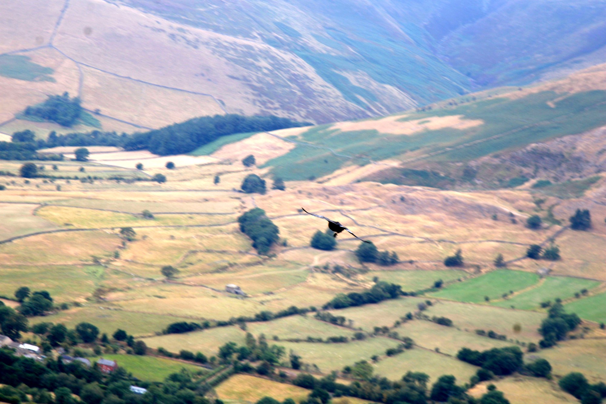 Patchwork fields spread across the valley below Mam Tor