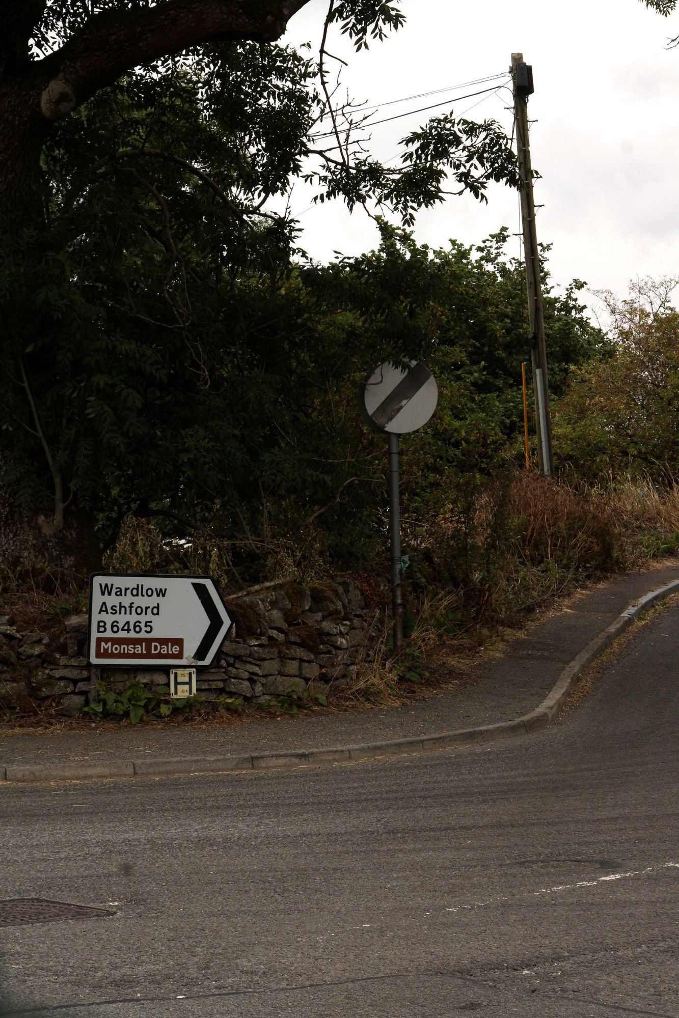 A country lane bending past a road sign under the trees