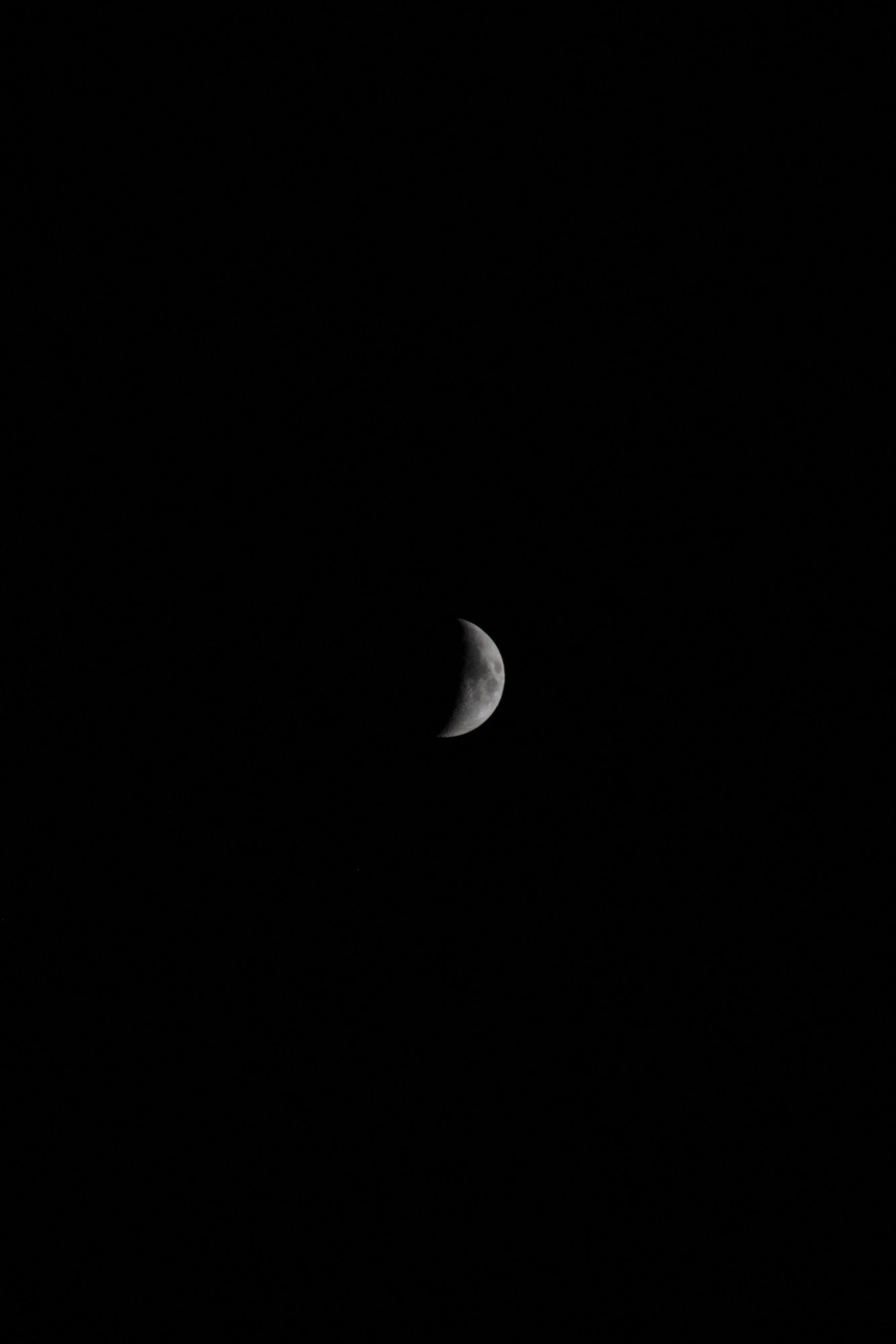 A small crescent moon low in the dark sky