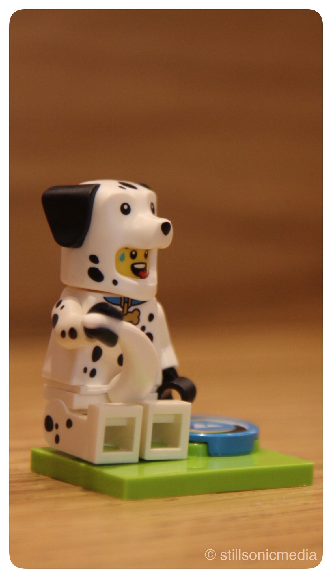 Florida — LEGO Product Shot