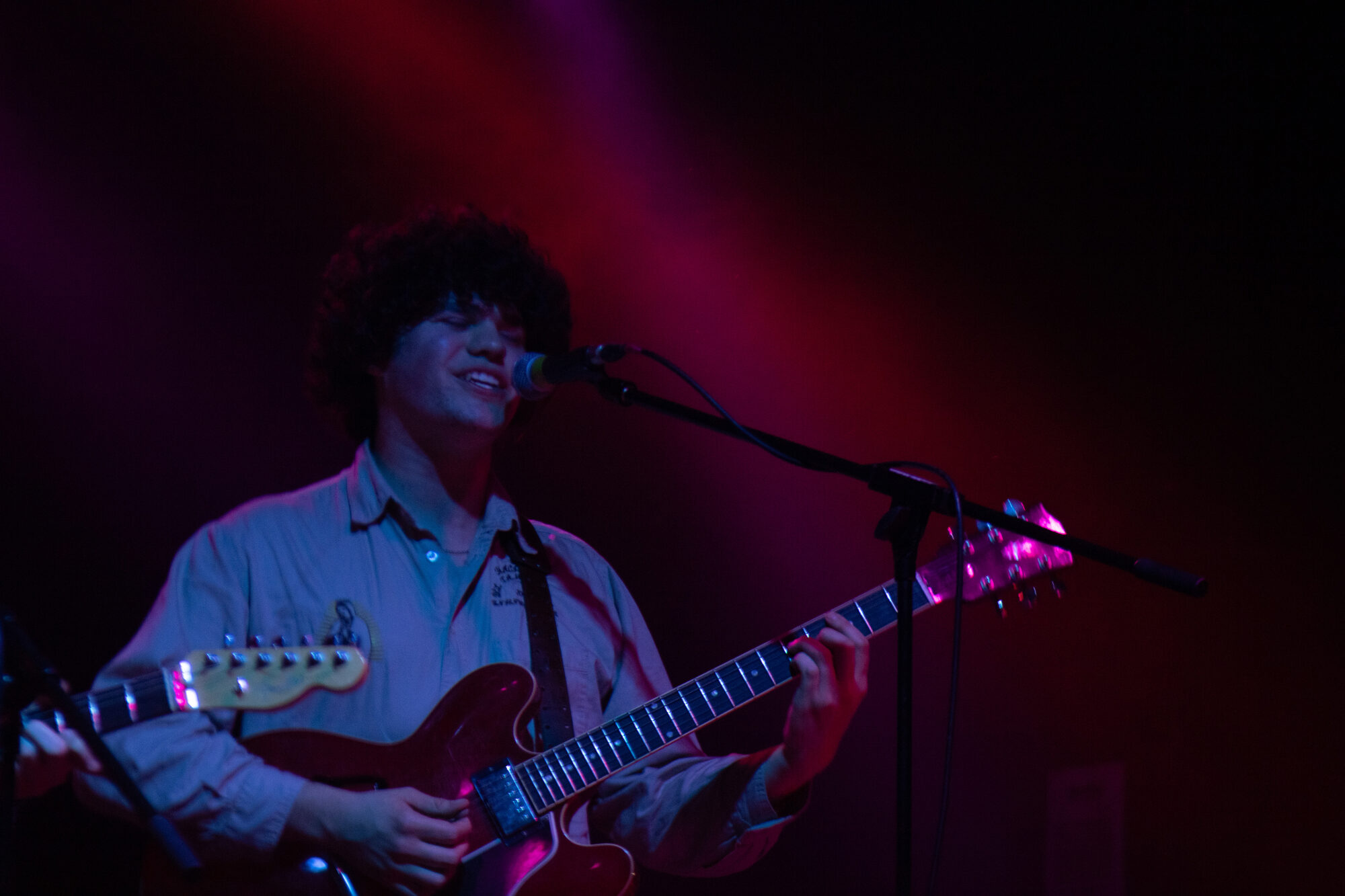 Concert Guitarist