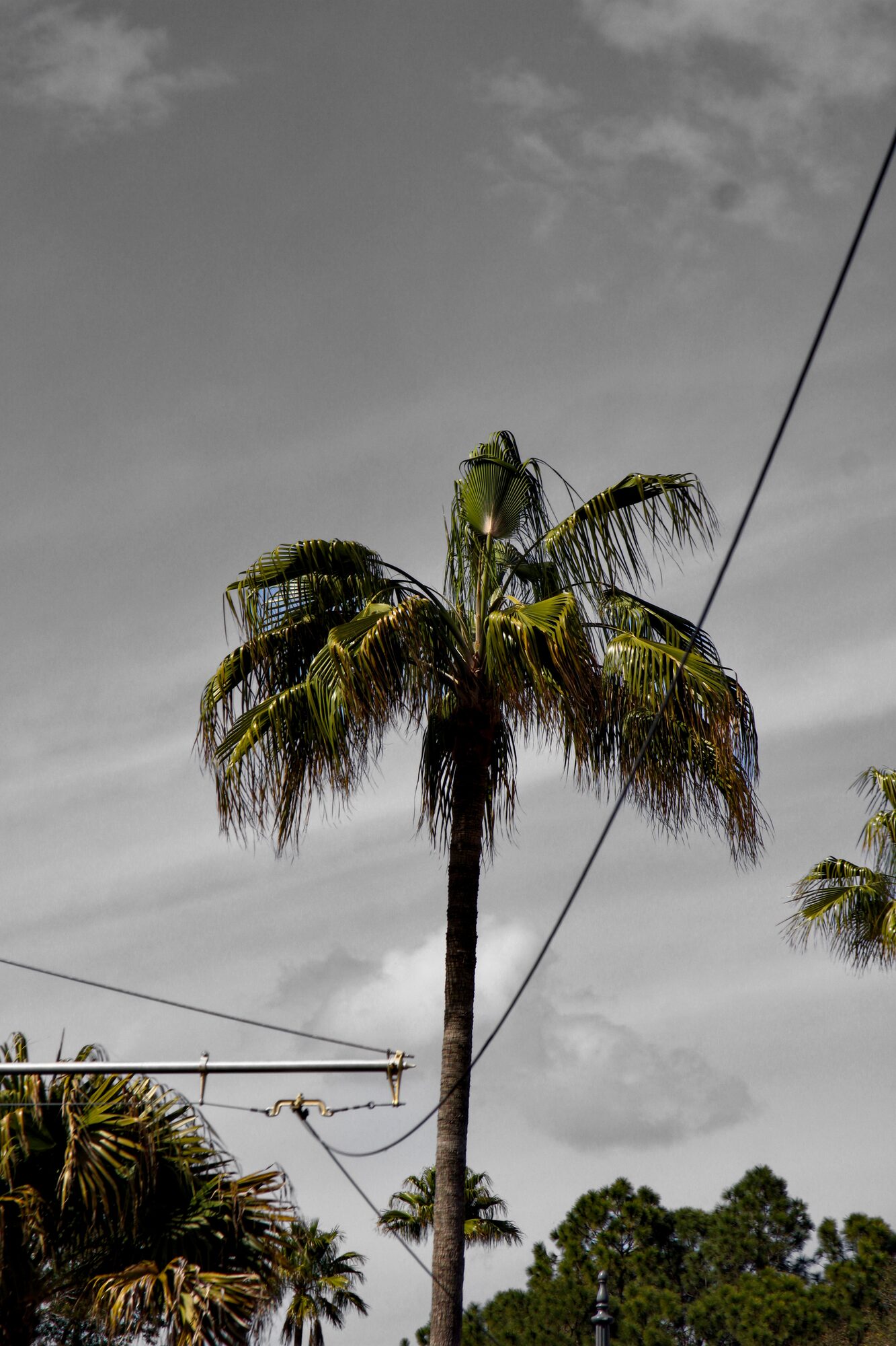 Florida